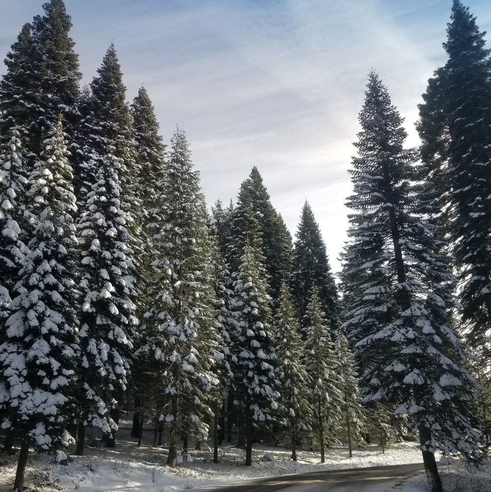 Meet your Posher, Brenna